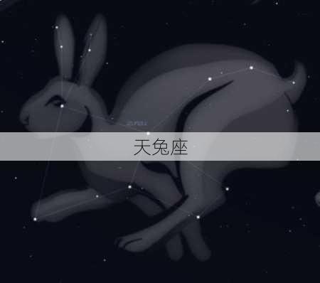 天兔座-第2张图片-滋味星座网