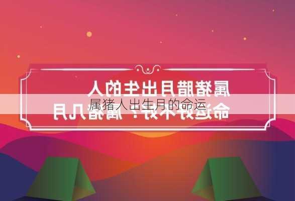 属猪人出生月的命运-第2张图片-滋味星座网