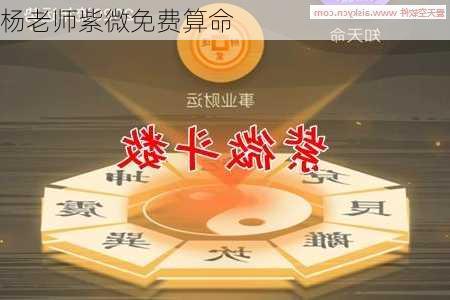 杨老师紫微免费算命-第1张图片-滋味星座网