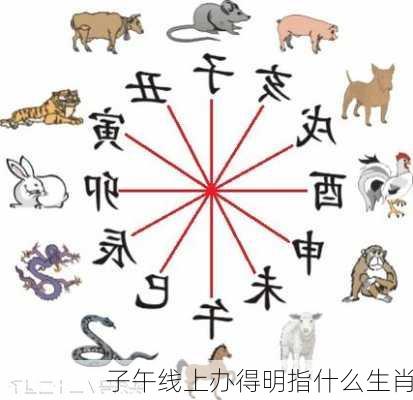 子午线上办得明指什么生肖-第1张图片-滋味星座网