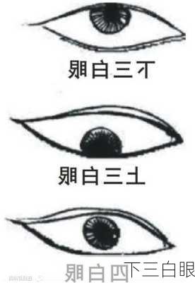 下三白眼