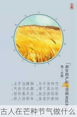 古人在芒种节气做什么-第3张图片-滋味星座网