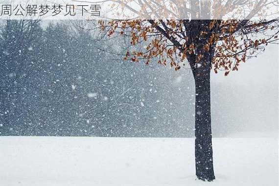 周公解梦梦见下雪-第3张图片-滋味星座网