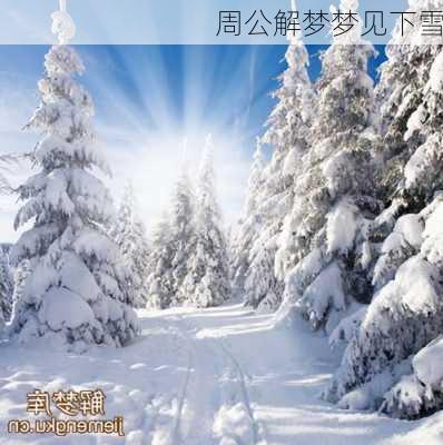 周公解梦梦见下雪-第2张图片-滋味星座网