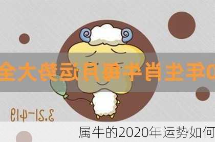 属牛的2020年运势如何-第3张图片-滋味星座网