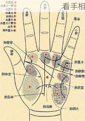 看手相-第2张图片-滋味星座网
