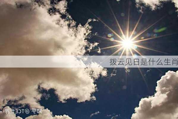 拨云见日是什么生肖-第3张图片-滋味星座网