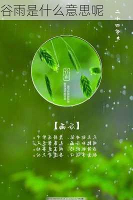 谷雨是什么意思呢-第3张图片-滋味星座网