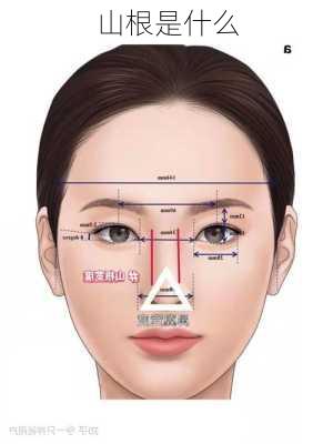 山根是什么-第3张图片-滋味星座网