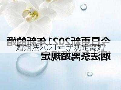 婚姻法2021年新规定离婚-第3张图片-滋味星座网