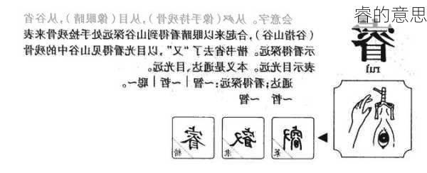 睿的意思-第2张图片-滋味星座网