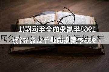 属兔人2021年下半年运势咋样-第2张图片-滋味星座网