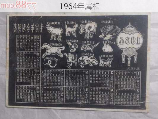 1964年属相-第3张图片-滋味星座网