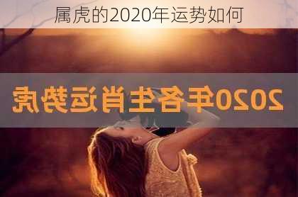 属虎的2020年运势如何-第3张图片-滋味星座网