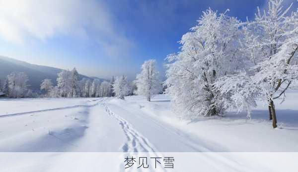 梦见下雪-第2张图片-滋味星座网