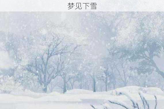 梦见下雪