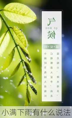 小满下雨有什么说法-第3张图片-滋味星座网