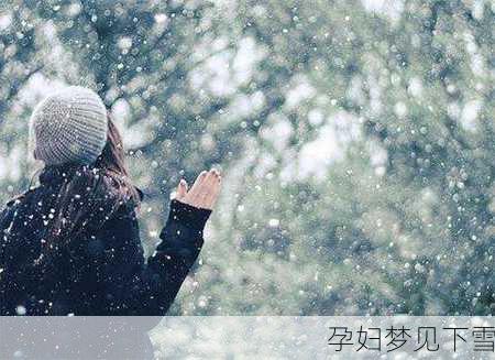 孕妇梦见下雪-第2张图片-滋味星座网