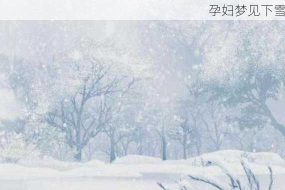 孕妇梦见下雪-第1张图片-滋味星座网