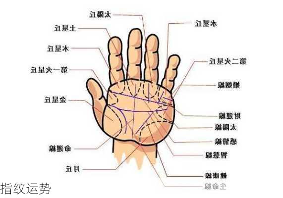 指纹运势-第2张图片-滋味星座网