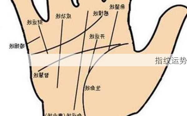 指纹运势-第3张图片-滋味星座网