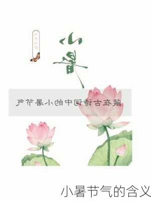 小暑节气的含义-第3张图片-滋味星座网