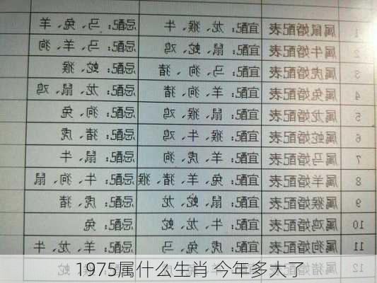 1975属什么生肖 今年多大了-第1张图片-滋味星座网