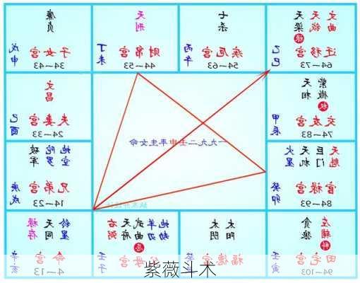 紫薇斗术-第2张图片-滋味星座网