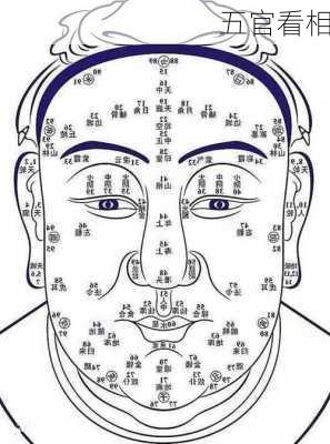 五官看相-第3张图片-滋味星座网