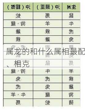 属龙的和什么属相最配、相克-第3张图片-滋味星座网