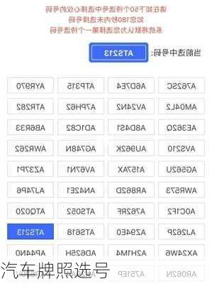 汽车牌照选号-第1张图片-滋味星座网