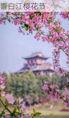 青白江樱花节