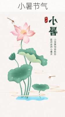 小暑节气-第3张图片-滋味星座网