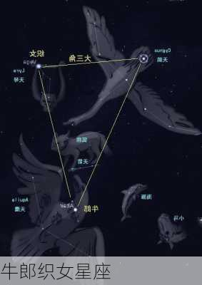 牛郎织女星座-第2张图片-滋味星座网