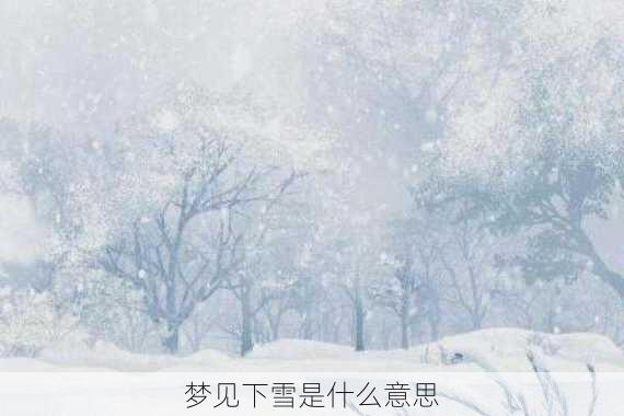 梦见下雪是什么意思-第3张图片-滋味星座网