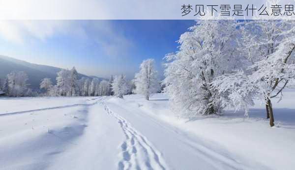 梦见下雪是什么意思-第2张图片-滋味星座网