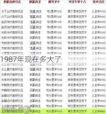 1987年现在多大了-第2张图片-滋味星座网