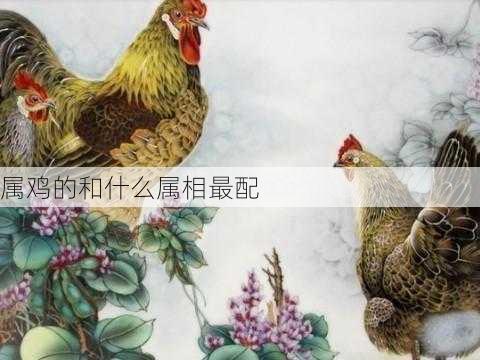 属鸡的和什么属相最配-第3张图片-滋味星座网