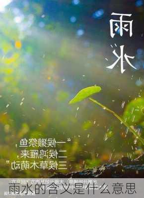 雨水的含义是什么意思-第2张图片-滋味星座网