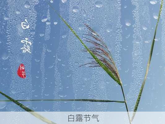 白露节气-第2张图片-滋味星座网