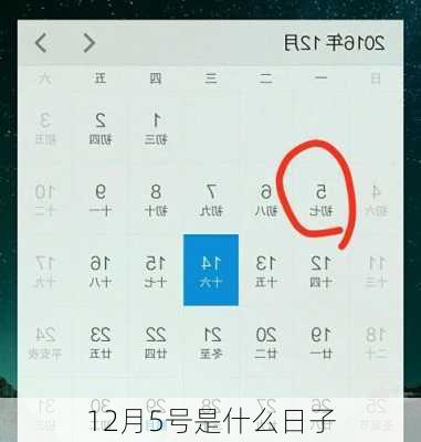12月5号是什么日子-第3张图片-滋味星座网