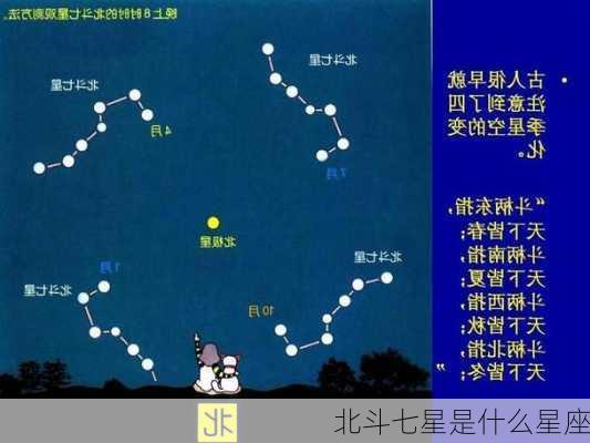 北斗七星是什么星座