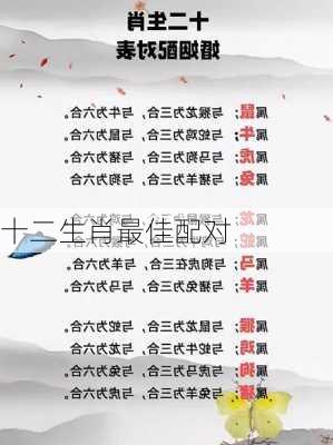 十二生肖最佳配对-第3张图片-滋味星座网