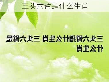 三头六臂是什么生肖-第2张图片-滋味星座网