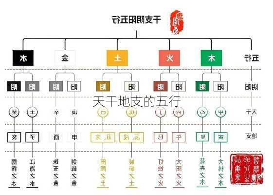 天干地支的五行