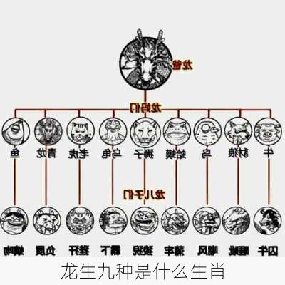 龙生九种是什么生肖-第3张图片-滋味星座网