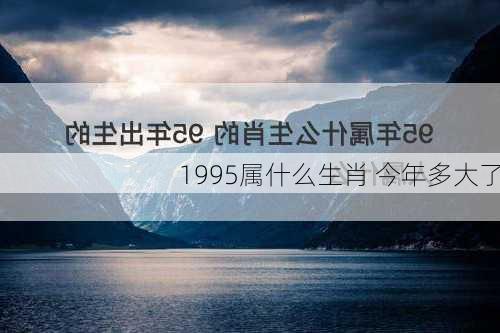 1995属什么生肖 今年多大了-第2张图片-滋味星座网