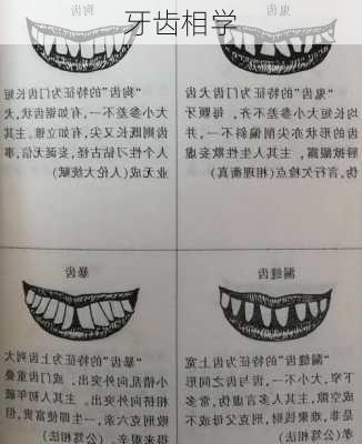 牙齿相学-第1张图片-滋味星座网