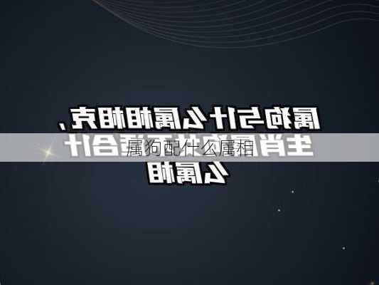 属狗配什么属相-第2张图片-滋味星座网