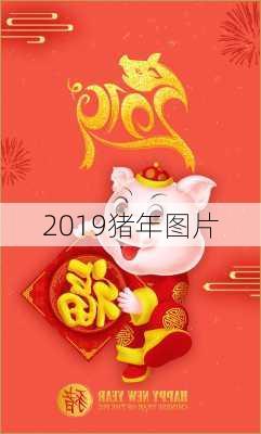 2019猪年图片-第2张图片-滋味星座网